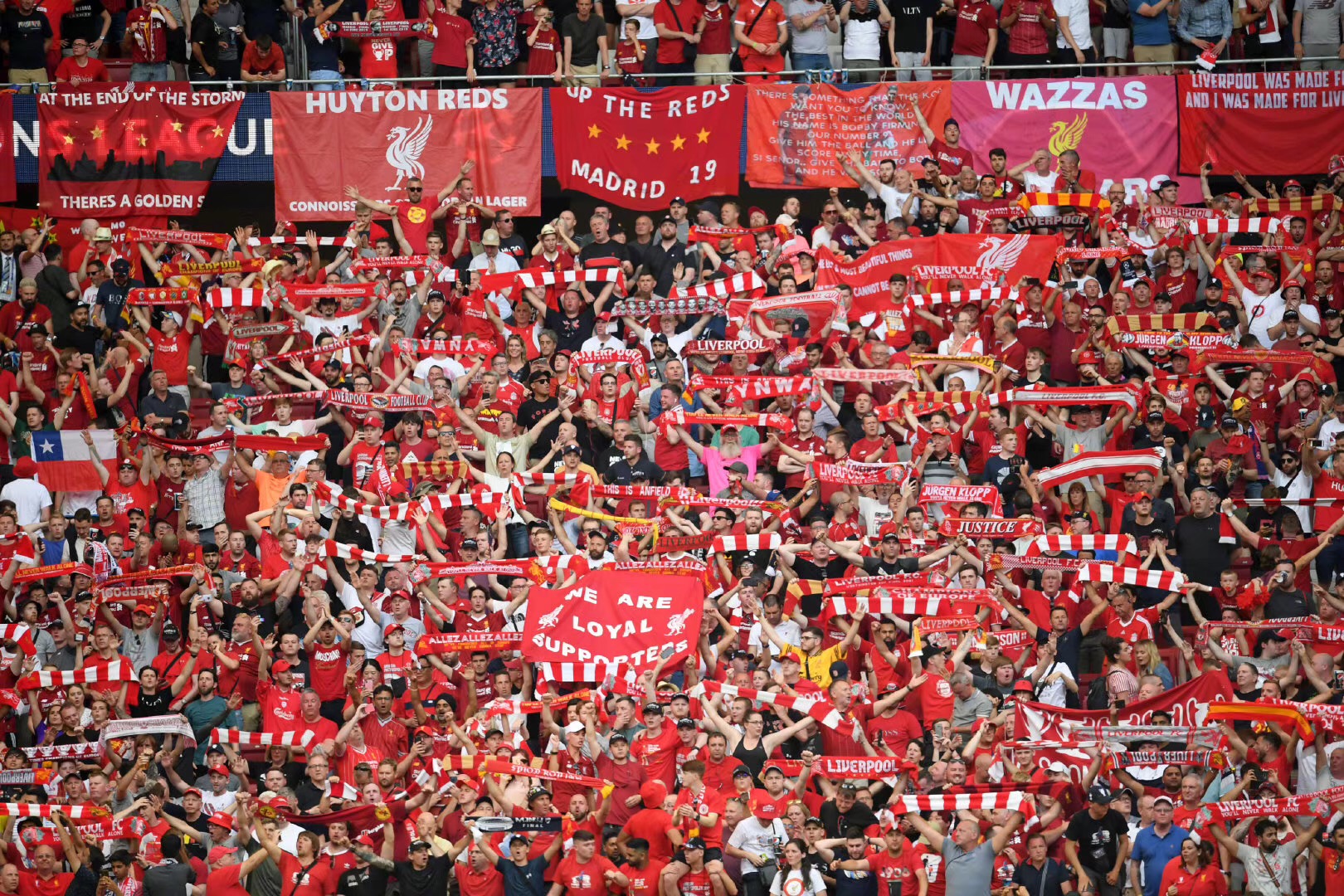 在好球带妥 在好球带妥